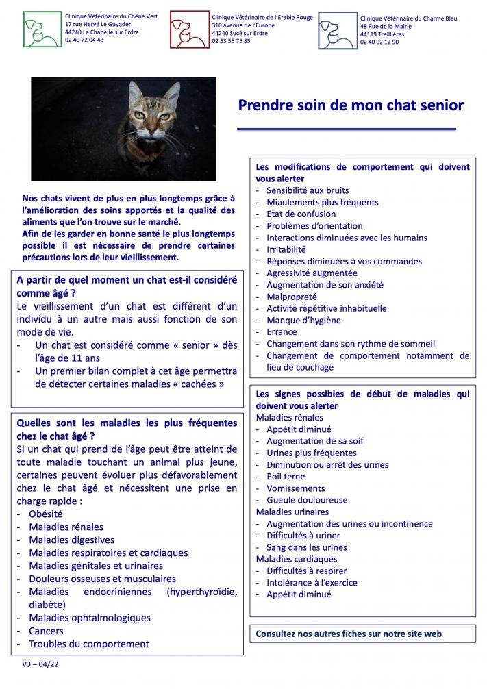 Prendre soin de son chat senior