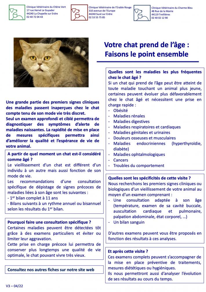 Check-up du chat senior