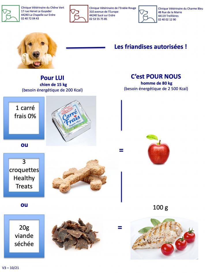 Friandises possibles chez le chien