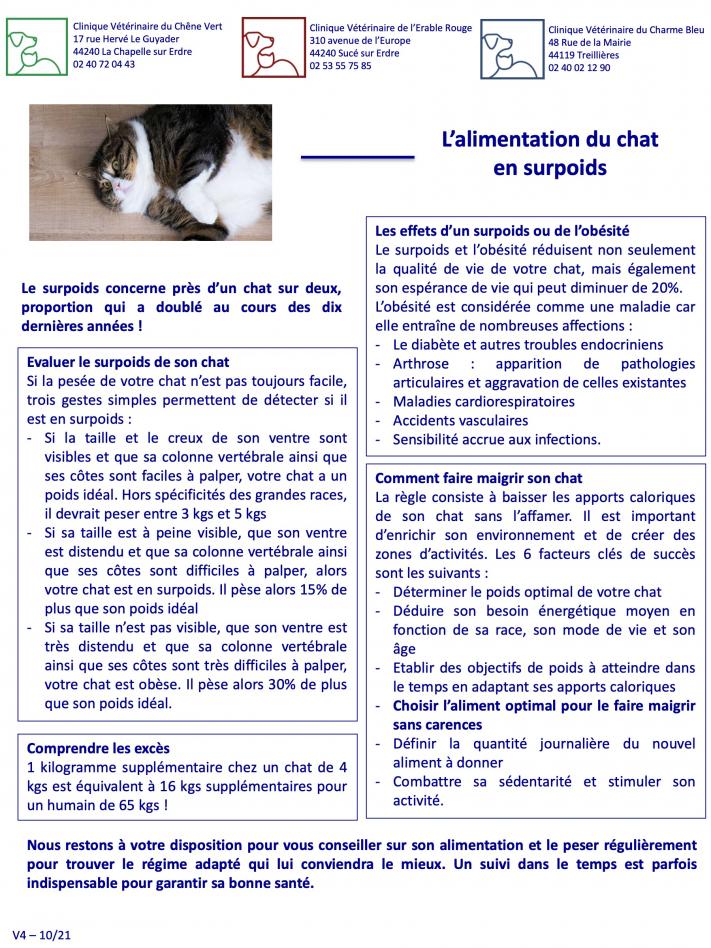 L'alimentation du chat en surpoids